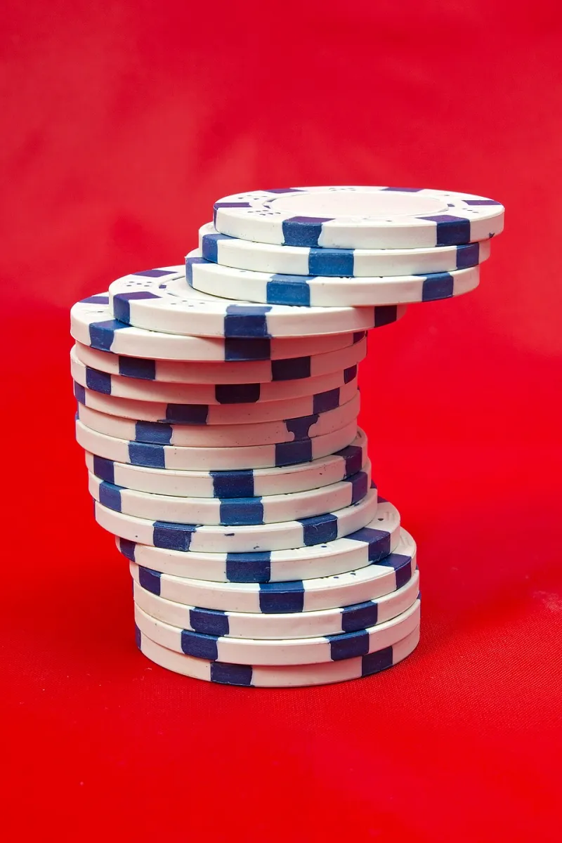 Don't Get Eaten Alive: A No-Fluff Guide to Reading Jungle Casino Bonus Terms Before You Bite